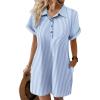 Blue White Stripe