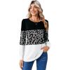 Zeagoo Long Sleeve Shirts for Women Casual Fall Fashion Crewneck Pleated Tunic Tops Work Outfit Blouse(Leopard Grey 519)