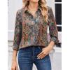 Zeagoo Women Blouses Chiffon Long Sleeve Button Down Shirts Business Causal Dressy Work Top V Neck Summer Spring Clothes(Multicolor 721)