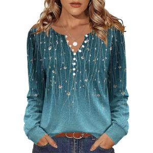 Zeagoo Fall Tops for Women Long Sleeve Button Up Shirts Floral Tunics V Neck Pullover Blouse(Blue Floral)
