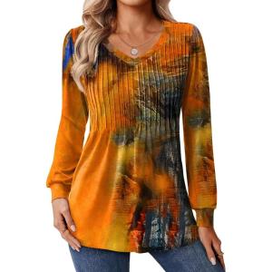 Zeagoo Long Sleeve Shirts for Women Casual V Neck Top Pleated Floral Boho Blouses 2026 Fall Tunics(Cx272)