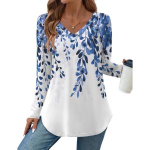 Zeagoo Long Sleeve Tops for Women V Neck Shirt Loose Fall Tunic Tops Dressy Casual Work Blouse 2026(Dw2)