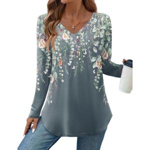 Zeagoo Long Sleeve Tops for Women V Neck Shirt Loose Fall Tunic Tops Dressy Casual Work Blouse 2026(Wf71)