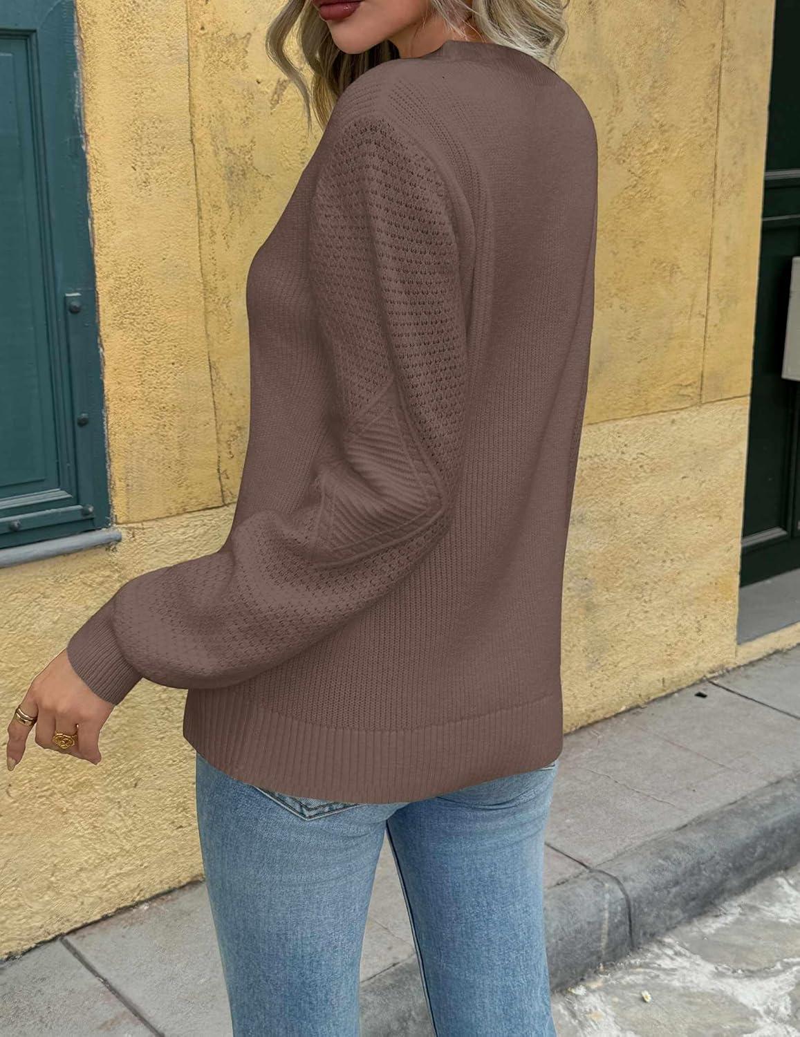 imageZeagoo Womens Sweaters 2026 Fashion Fall Tops Crew Neck Long Sleeve Knit Pullover Sweater SXXLBrown
