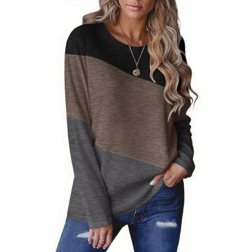 imageZeagoo Womens Color Block Tops Long Sleeve Fall Tunic Top Casual Round Neck Pullover Shirts Dressy Work Outfit 2025Pat13