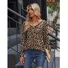 Zeagoo Women Tops Loose Fit Long Sleeve V Neck T Shirts Business Casual Blouses Dressy Fall Fashion Work Clothes(Leopard-an284)