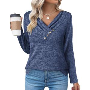 Zeagoo Women’s Casual Tunic Tops Long Sleeve Shirts for Leggings V Neck Button Fall Pullover Blouse Loose Sweatshirts(Blv)