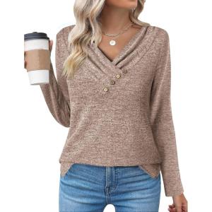 Zeagoo Women’s Casual Tunic Tops Long Sleeve Shirts for Leggings V Neck Button Fall Pullover Blouse Loose Sweatshirts(Lt)
