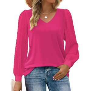 Zeagoo Women’s Blouses Dressy Casual V Neck Top Swiss Dot Balloon Long Sleeve Shirts