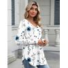 Zeagoo Long Sleeve Tops for Women V Neck Shirt Loose Fall Tunic Tops Dressy Casual Work Blouse 2026(Wf133)
