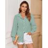 Zeagoo Women’s Loose Fit Striped Lantern Long Sleeve Button Down Shirt(C-green Stripe)