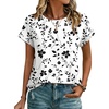 Sf291-white