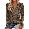 Zeagoo Womens Tops Long Sleeve V Neck Tee Shirts Cute Dressy Casual(Leopard Print An136)