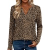 Zeagoo Womens Tops Long Sleeve V Neck Tee Shirts Cute Dressy Casual(Leopard Print An136)