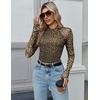 Zeagoo Long Sleeve Shirts for Women Sheer Mesh Top Mock Neck Fitted Blouses(An127)