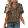 Zeagoo Womens Tops Short Sleeve V Neck Tee Shirts Cute Dressy Casual(Leopard Print An136)