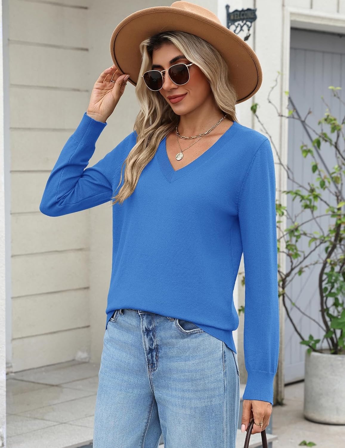 image:imageZeagoo Womens 2026 Fall Long Sleeve Sweaters V Neck Dressy Casual TopsSky Blue