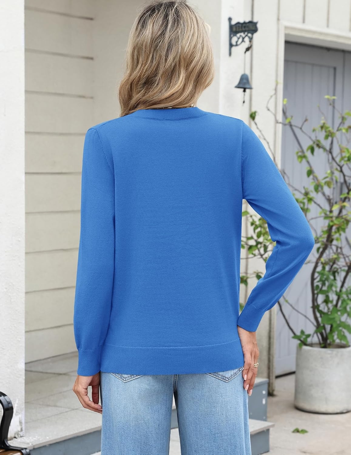 image:imageZeagoo Womens 2026 Fall Long Sleeve Sweaters V Neck Dressy Casual TopsSky Blue