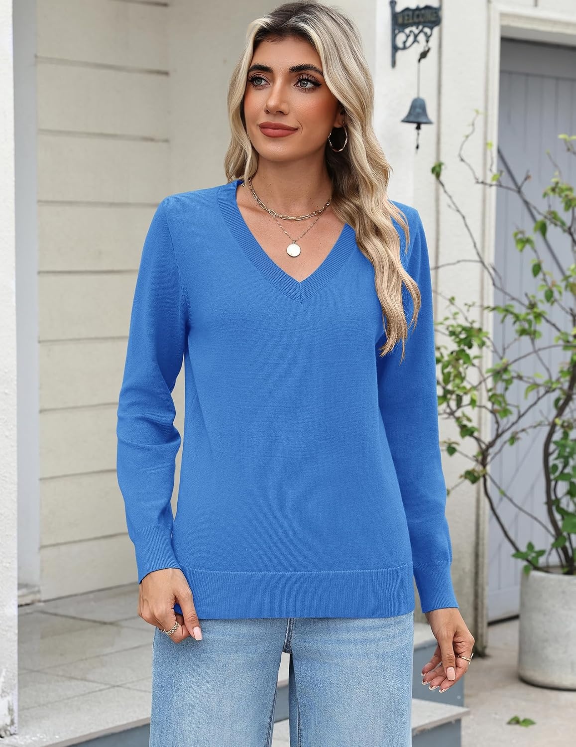 image:imageZeagoo Womens 2026 Fall Long Sleeve Sweaters V Neck Dressy Casual TopsSky Blue