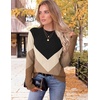 Zeagoo Womens Sweaters Crewneck Long Sleeve Soft Casual Knit Pullover Tops(Colorblock Brown)