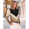 Zeagoo Womens Sweaters Crewneck Long Sleeve Soft Casual Knit Pullover Tops(Colorblock Brown)