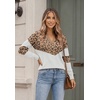 Zeagoo Womens V Neck Sweaters 2026 Fall Long Sleeve Pullover Tops Business Casual Outfits(C-leopard)
