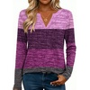 Zeagoo Womens Tops Long Sleeve V Neck Tee Shirts Cute Dressy Casual(Purple Jh695)