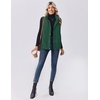Zeagoo Women Oversized Puffer Vest Stand Collar Zip Up Sleeveless Outerwear(Green)