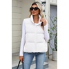 Zeagoo Women Puffer Vest Cropped Winter Outerwear Warm Coat(A-white)