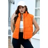 Zeagoo Womens Puffer Vest Ladies Sleeveless Zip Up Outerwear(Burnt Orange)